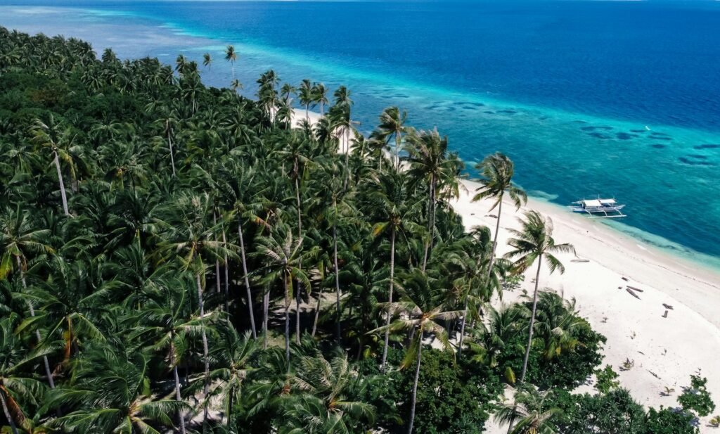 best cruise travel agency